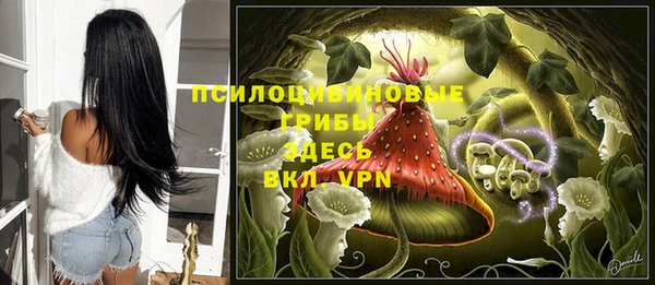ГАЛЛЮЦИНОГЕННЫЕ ГРИБЫ Михайловск
