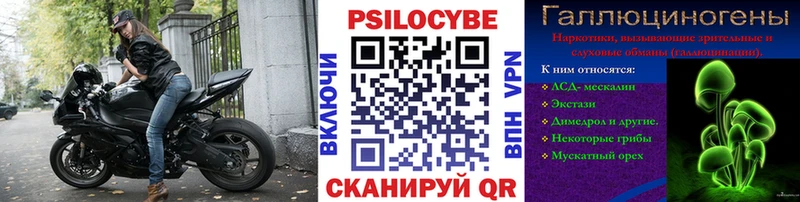 Псилоцибиновые грибы Psilocybine cubensis  Северодвинск 