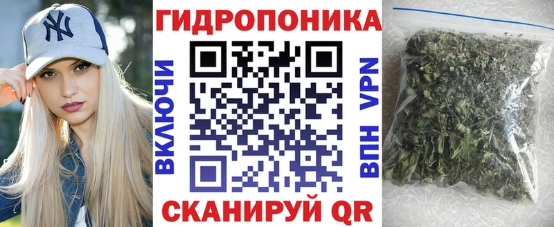 Бошки Шишки VHQ  Северодвинск 